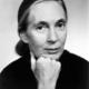 Jane goodall young