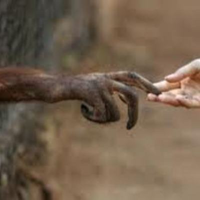 Timeline: EVOLUCIONHOMBRE