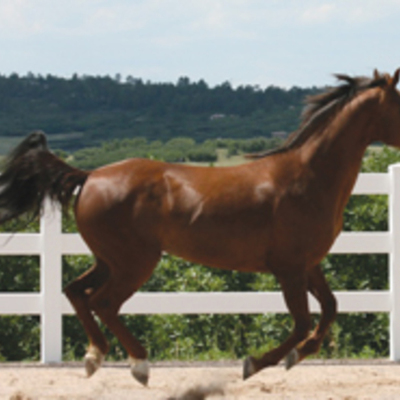 Timeline: 12 Historical Film Events by Antonio and Steven