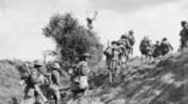 Timeline: Year 9 History Overview