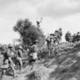 Ww1