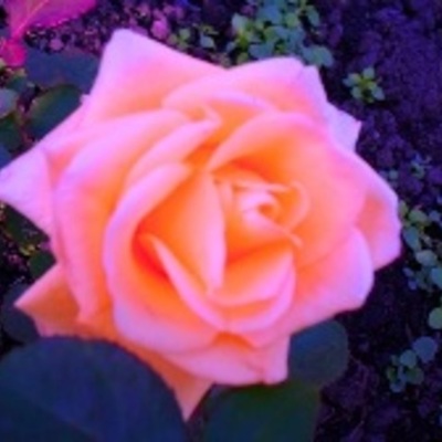 Timeline: Big Kerlegesh