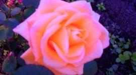 Timeline: Big Kerlegesh