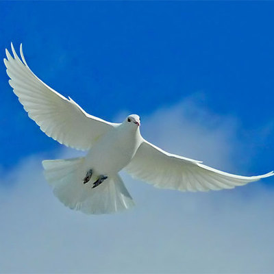 Timeline: Thomas's Church History Timeline