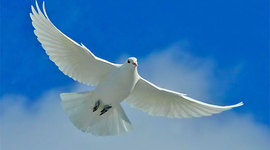 Timeline: Thomas's Church History Timeline