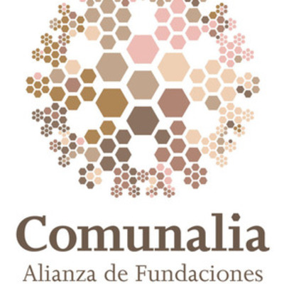 Timeline: ALIANZA DE FUNDACIONES COMUNITARIAS DE MEXICO - COMUNALIA
