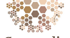 Timeline: ALIANZA DE FUNDACIONES COMUNITARIAS DE MEXICO - COMUNALIA