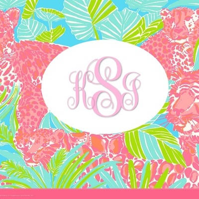 Timeline: Erikson Life-Timeline