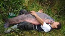 Timeline: Jack Wrights life (worst case scenario)