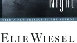 Timeline: Night Timeline