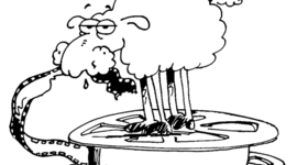 Timeline: Filmfest 2013-2014