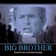 Big brother bush