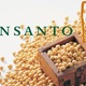 Monsanto