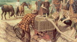 Timeline: Proceso Historico