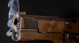 Timeline: Gun Control