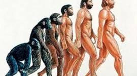 Timeline: Desarrollo de la teoría de evolución.