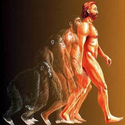 Timeline: Desarrollo de la teoría de la evolución