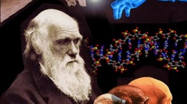 Timeline: DESARROLLO DE LA TEORÍA DE LA EVOLUCIÓN
