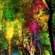 Arboles de colores 2 by aaguilerav