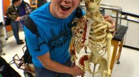 Timeline: Austin Armbruster