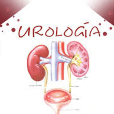 Timeline: HISTORIA DE LA UROLOGIA Y SU EVOLUCION