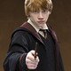 Ron weasley poster