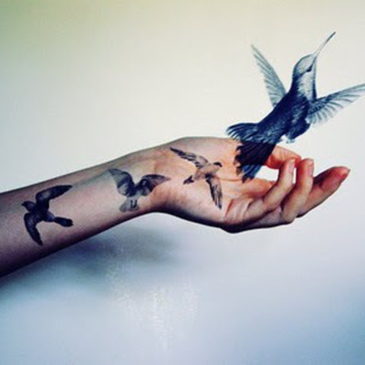 Timeline: Animación Sociocultural