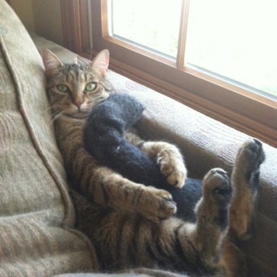 Timeline: Fun With Rachel Feikema (A Series of Unfortunate Events)