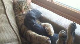 Timeline: Fun With Rachel Feikema (A Series of Unfortunate Events)