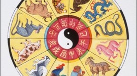 Timeline: Восточный гороскоп