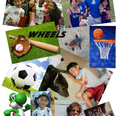 Timeline: Andrew Johnson Timeline Project 2/13/2014