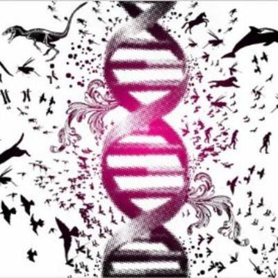 Timeline: Desarrollo de la teoría de la evolución