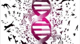 Timeline: Desarrollo de la teoría de la evolución