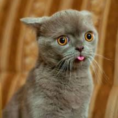 Timeline: Technology advances 1940 - 1960