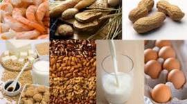 Timeline: Immune System Guidelines