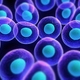 Cells2 1