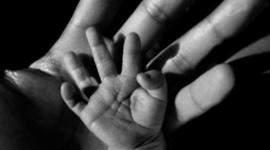 Timeline: Life Span Activity