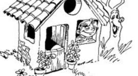 Timeline: VIEDO HOME