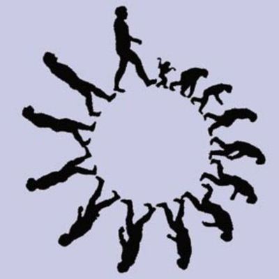 Timeline: DESARROLLO DE LA TEORÍA DE LA EVOLUCIÓN.