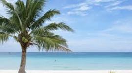 Timeline: Simon Ishak's Ownership Timeline