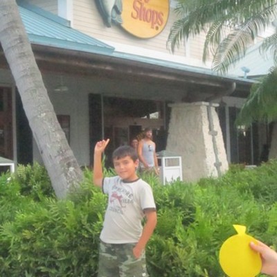 Timeline: the inportant days of my life