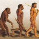 Evolucion