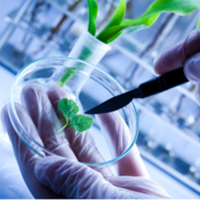 Timeline: Biotechnology 1976-2013