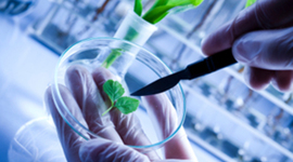 Timeline: Biotechnology 1976-2013