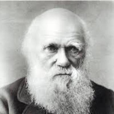 Timeline: Charles Darwin (Alejandro Cuadros y David Losada)