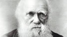 Timeline: Charles Darwin (Alejandro Cuadros y David Losada)