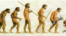 Timeline: Desarrollo de la teoría de la evolución