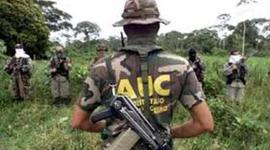 Timeline: Paramilitarismo