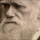 Charles darwin