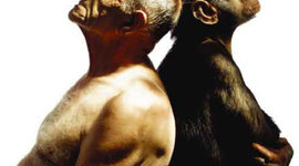 Timeline: Desarrollo de la teoria de la evolucion